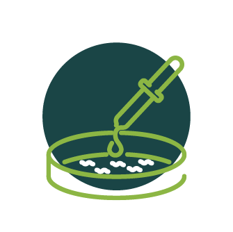 Picto agronutrition Réaliser une analyse bactérienne de sol - clair