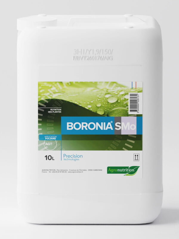 BORONIA SMo
