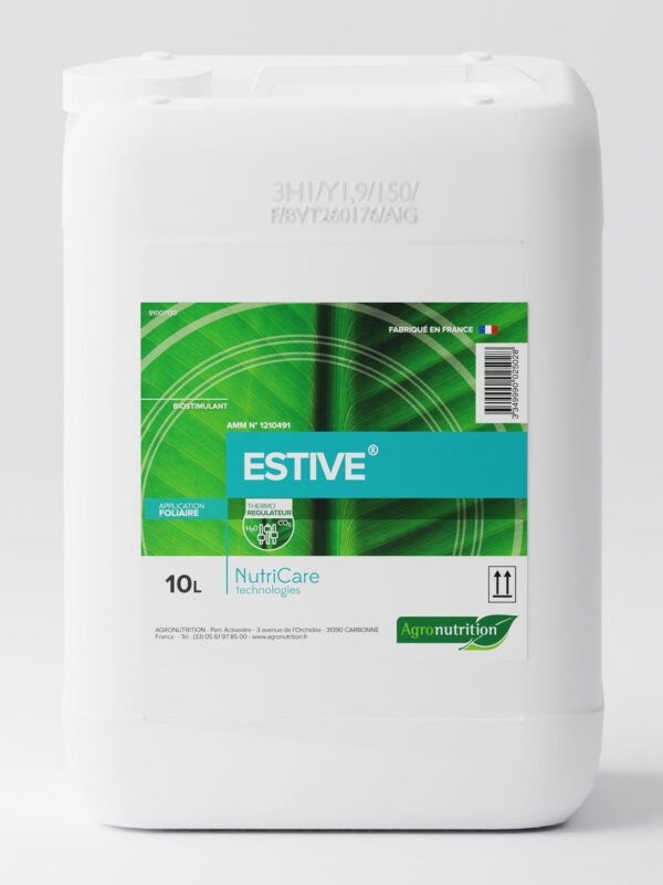 ESTIVE