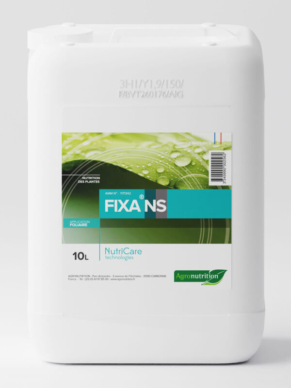 FIXA NS