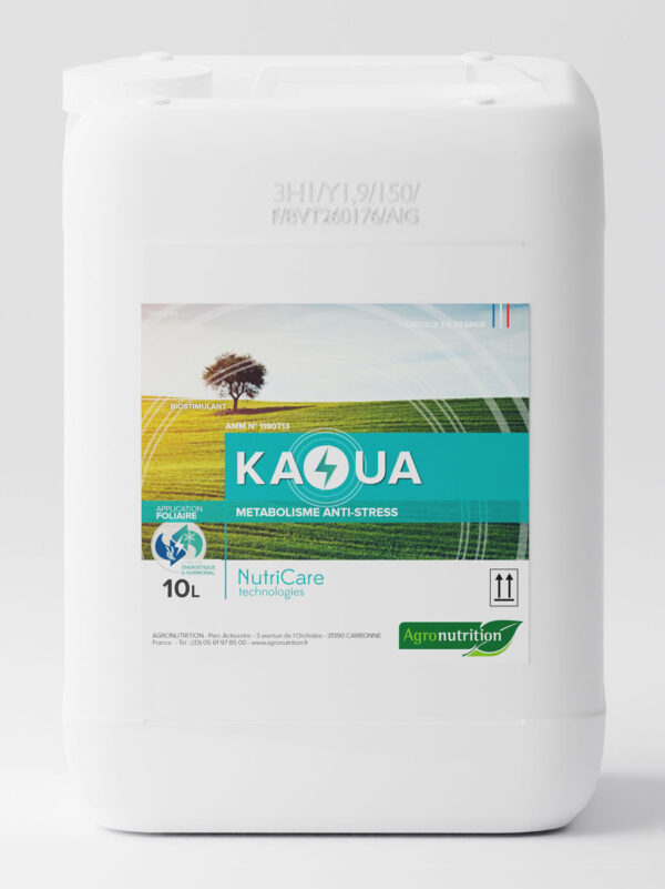 KAOUA