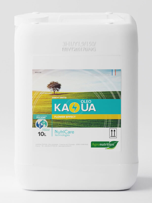 KAOUA OLEO