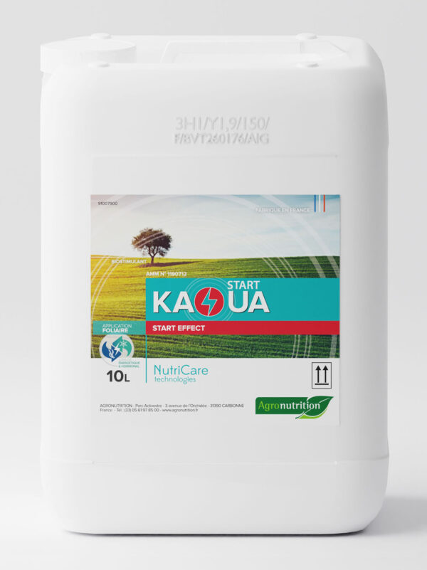 KAOUA START