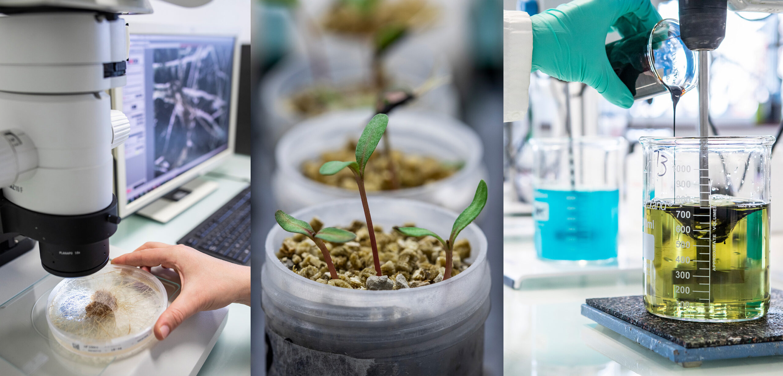 expertises_formulation_biotechnologie