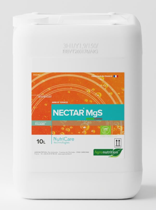 NECTAR MgS