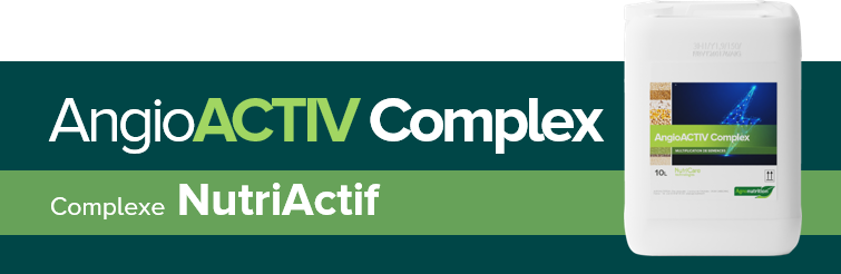 AngioACTIV_Complex