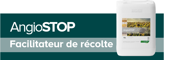 AngioSTOP