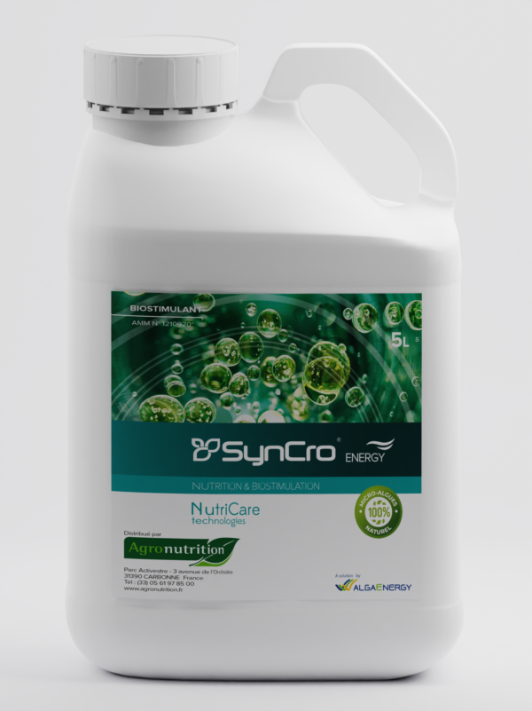 SynCro ENERGY