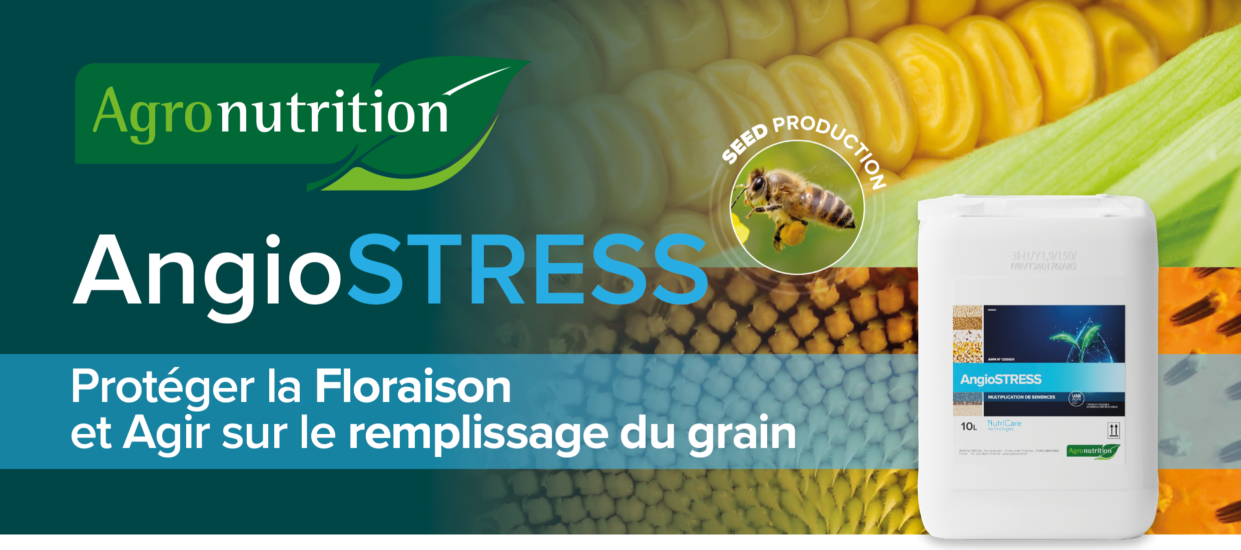 AngioSTRESS