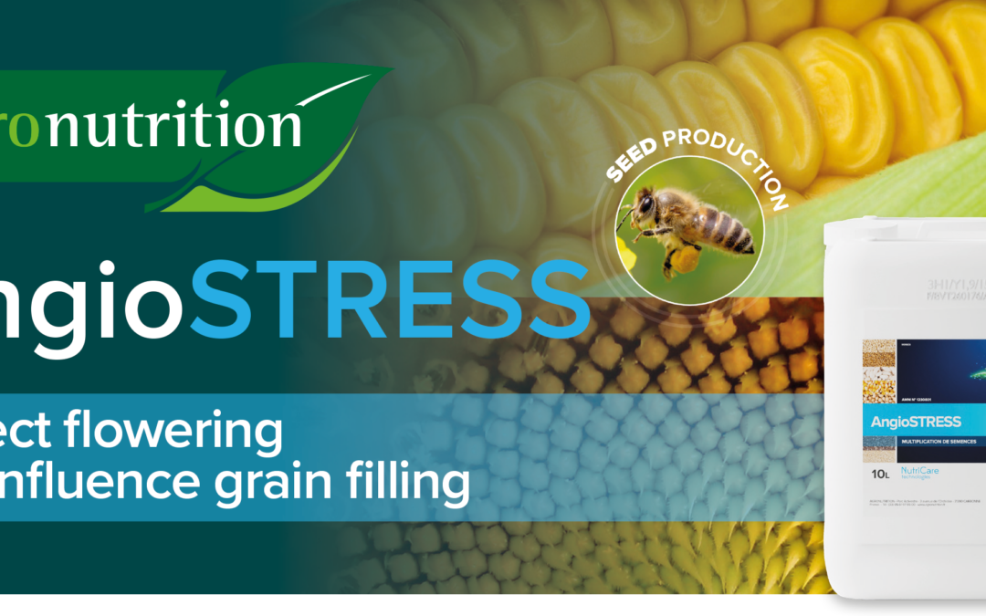 Flowering & Seed filling