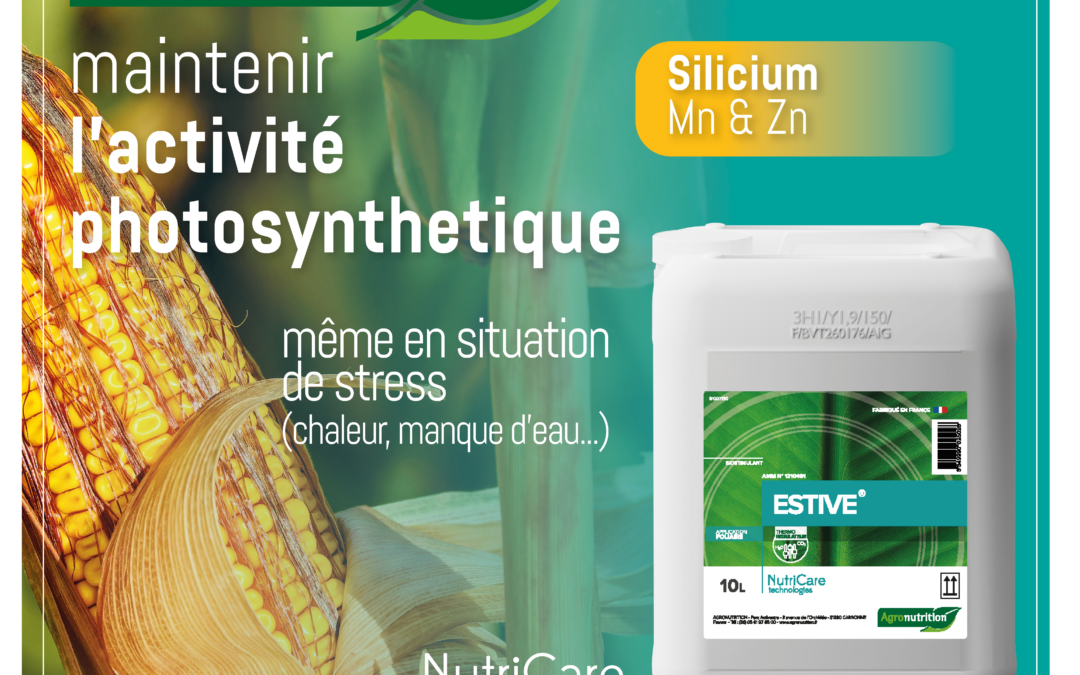 ESTIVE, THERMORÉGULATEUR