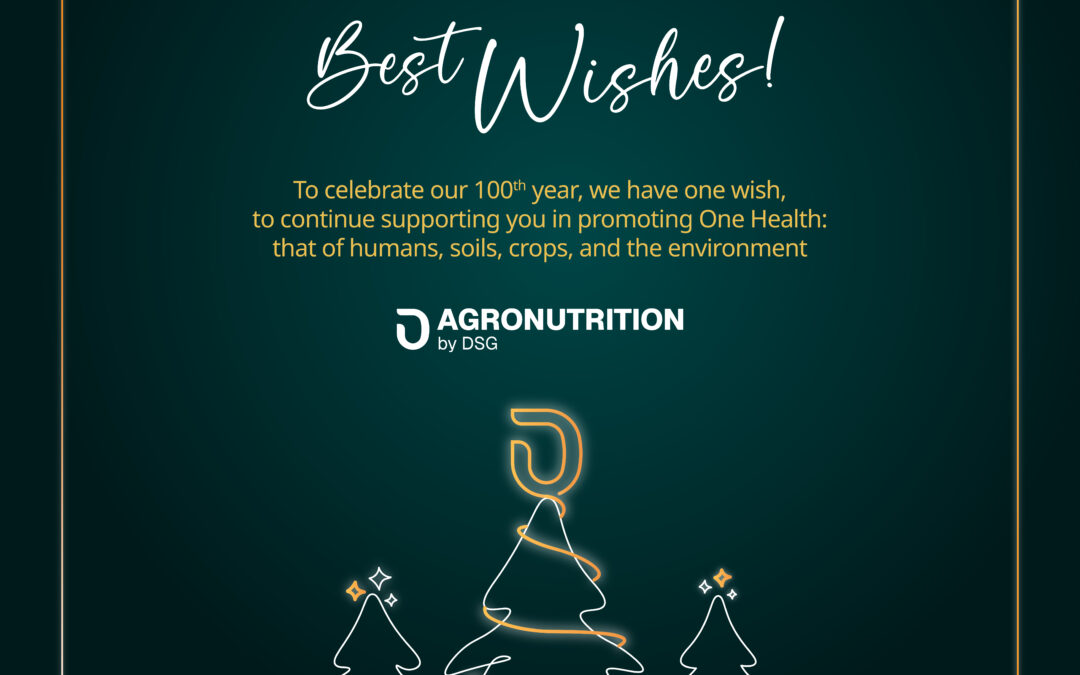 Best wishes for 2026