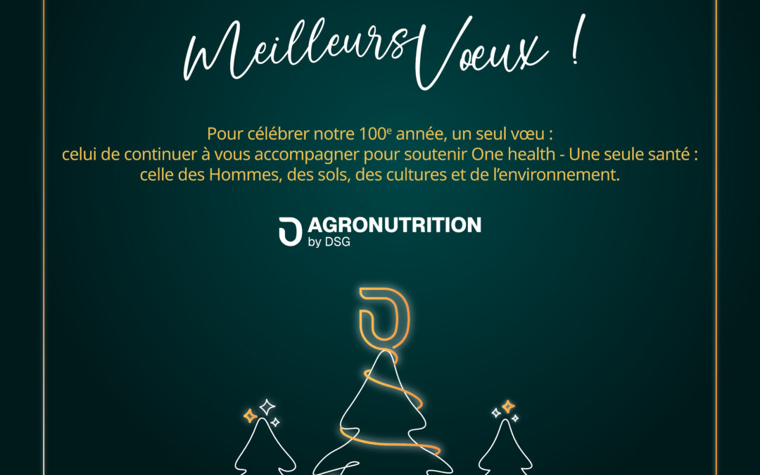 Meilleurs Voeux 2026