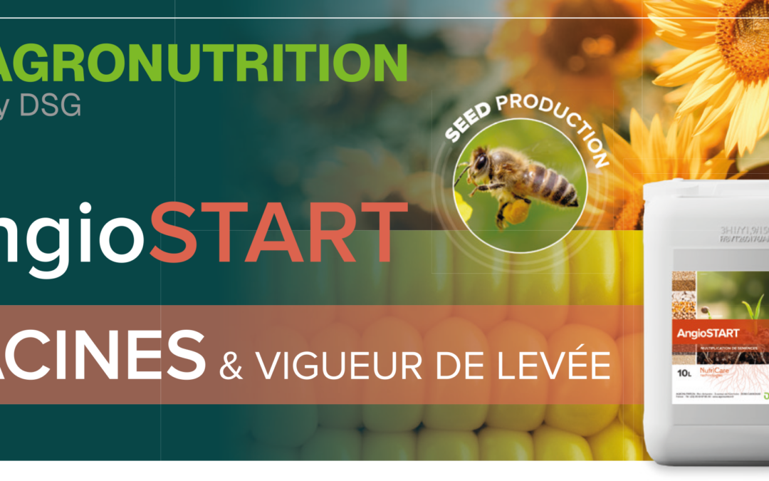 Vigueur & homogénéité dès la levée