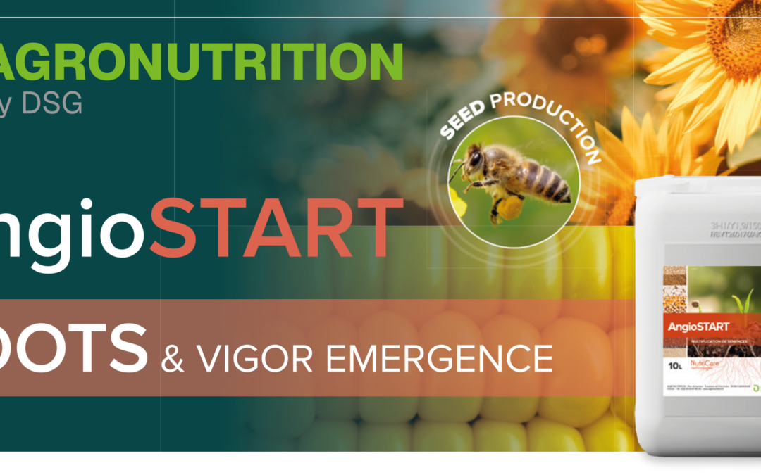 Vigour and uniformity from emergence