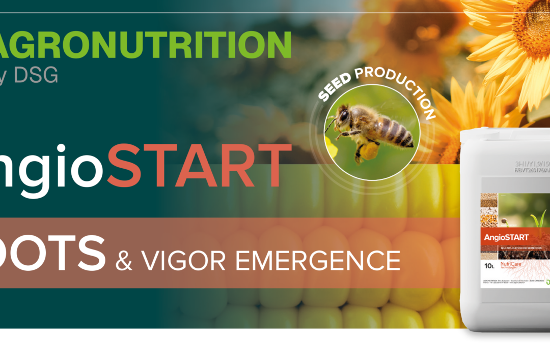 Vigour and uniformity from emergence