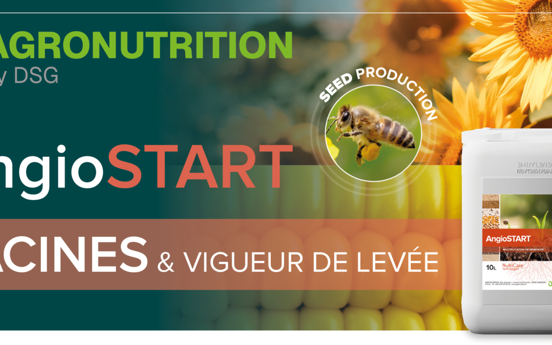 Vigueur & homogénéité dès la levée