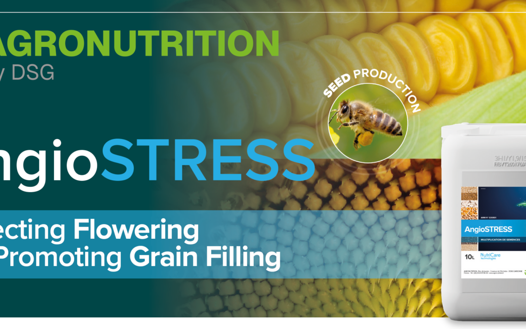 Flowering & Seed filling