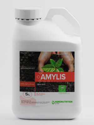 AMYLIS