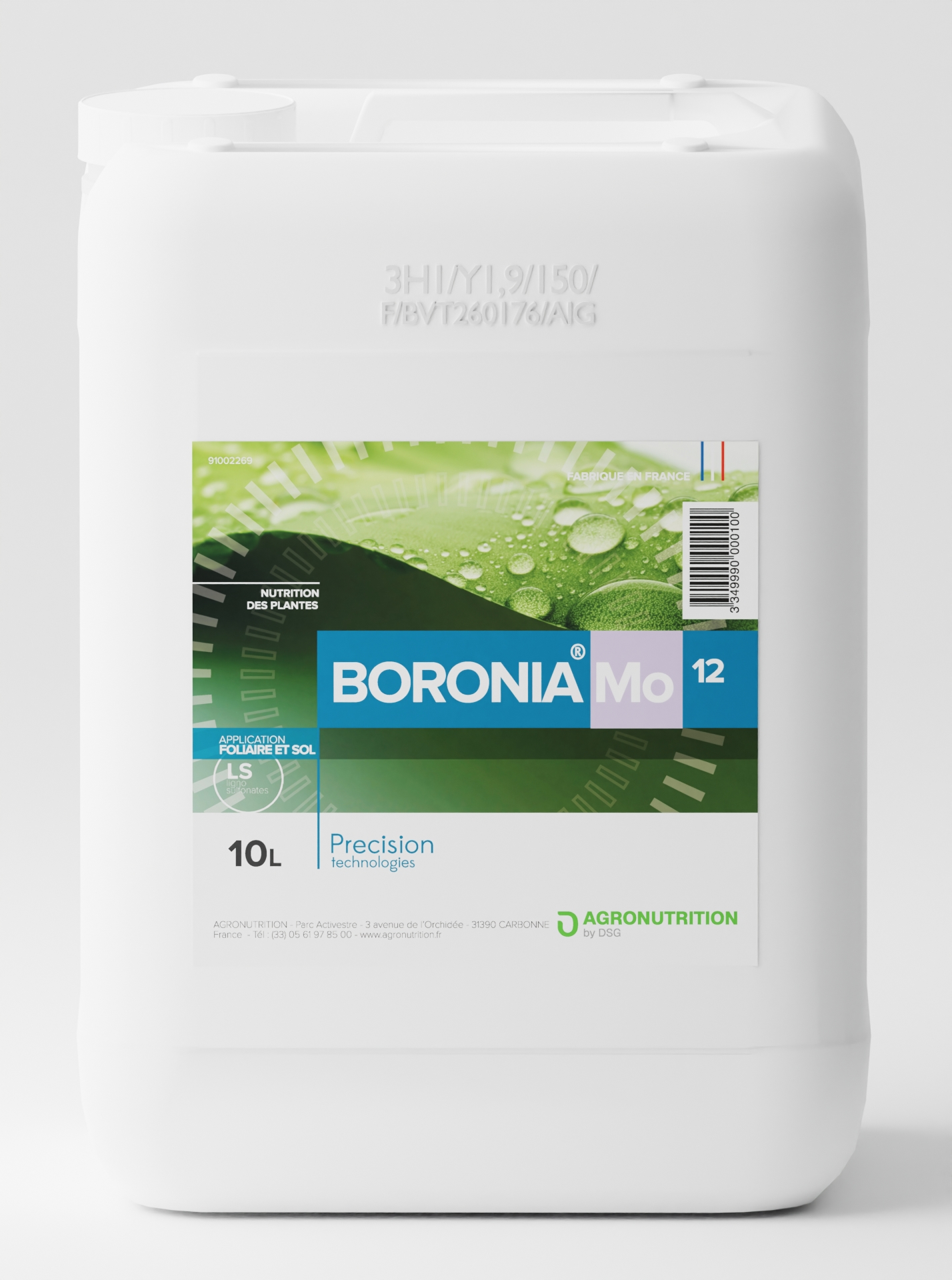 BORONIA Mo12