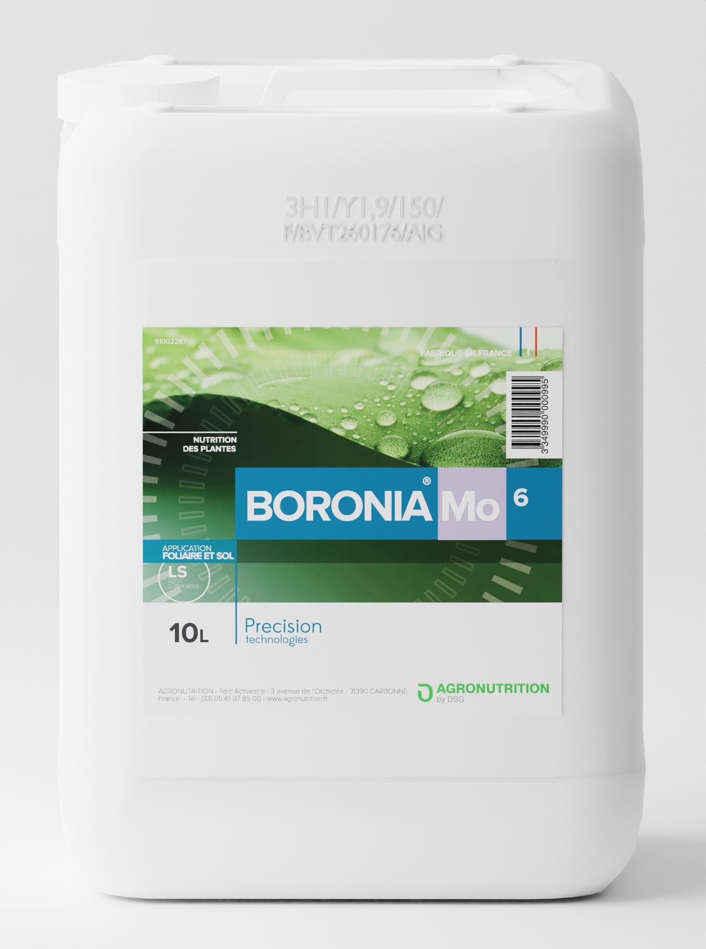 BORONIA Mo6
