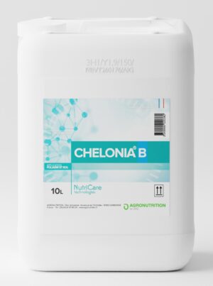 CHELONIA B