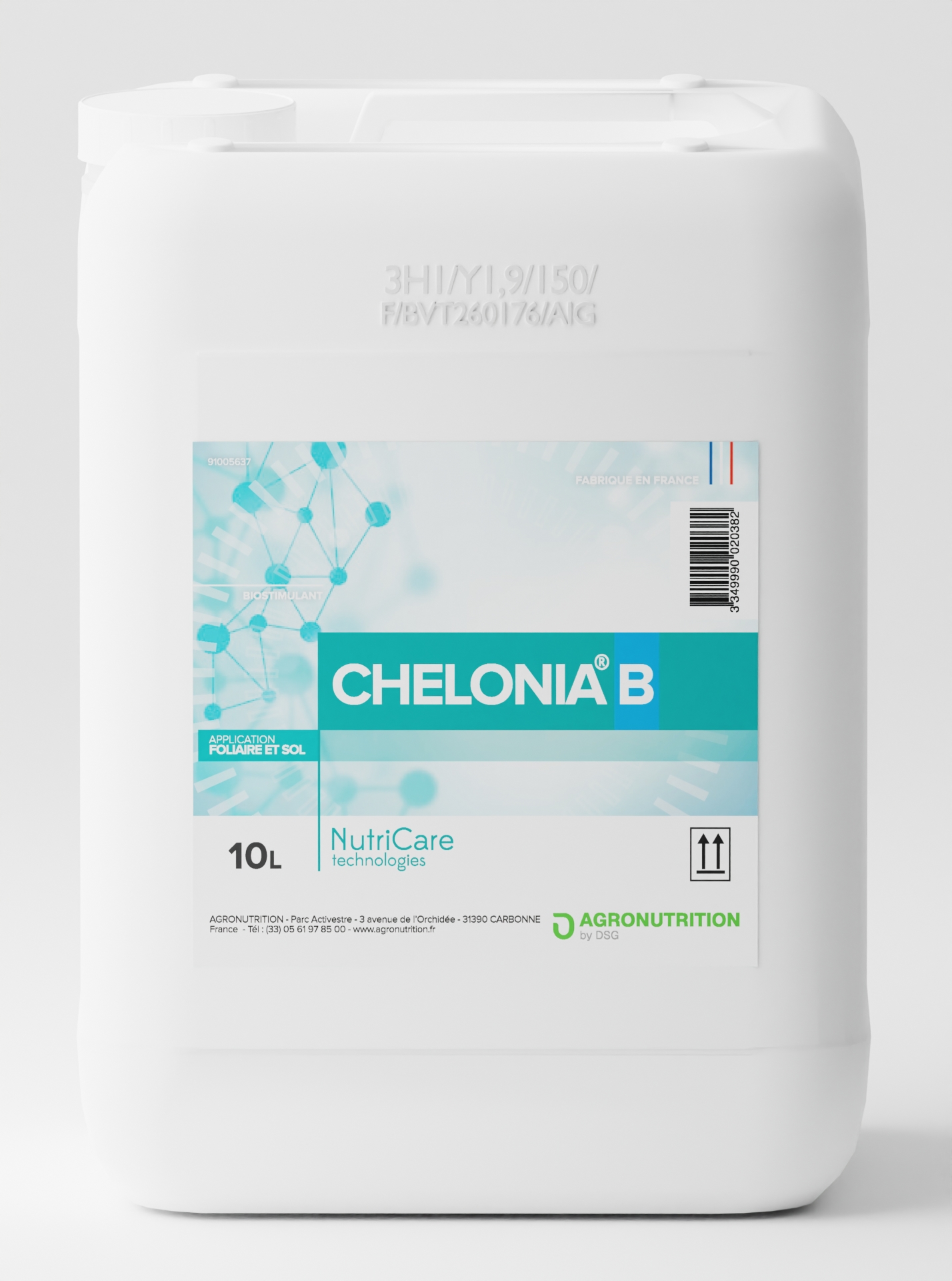 CHELONIA B