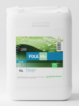 FIXA Mn