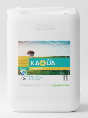 KAOUA OLEO